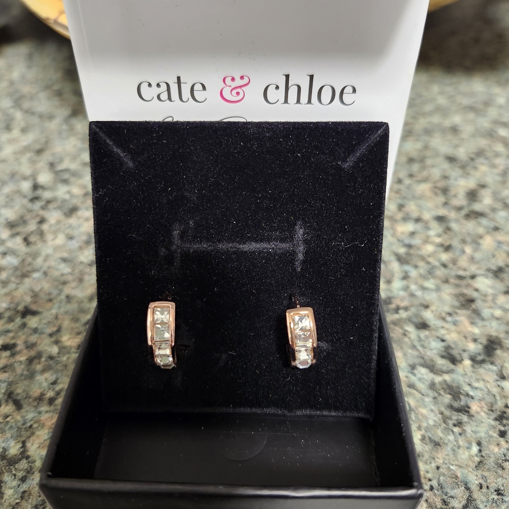 Cate & Chloe Rose Gold and Silver Earrings